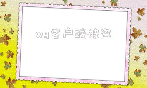 关于wg客户端被盗的信息